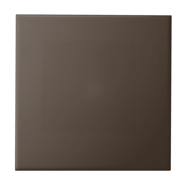 Darkened Clove Square Kitchen and Bathroom Tile (Front)