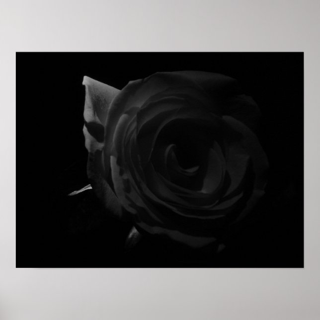 Darkened Rose Poster (Front)