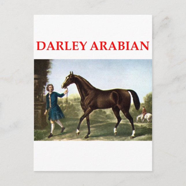 darley arabian postcard (Front)