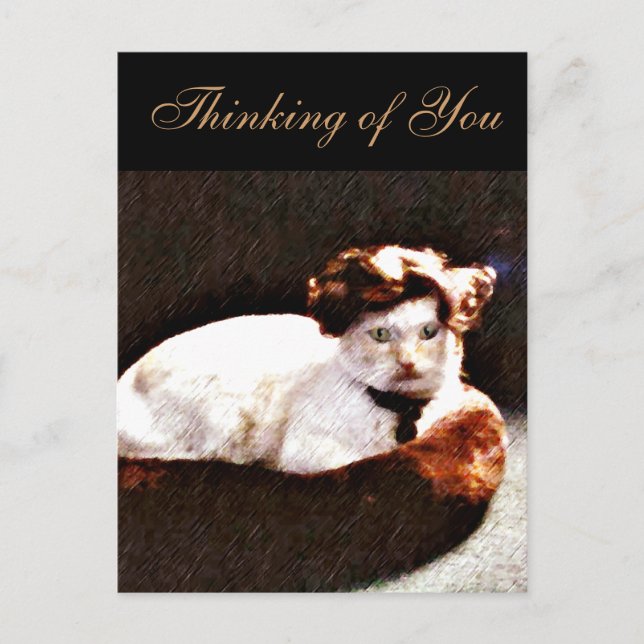 Darling,Cat_ Postcard (Front)