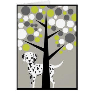 Darling Dalmation