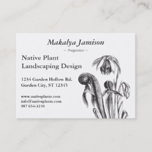 Darlingtonia californica, Carnivorous Plant Business Card