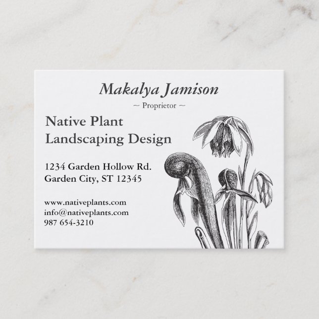 Darlingtonia californica, Carnivorous Plant Business Card (Front)