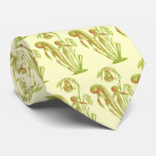 Darlingtonia californica, Carnivorous Plant Tie