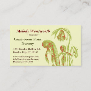 Darlingtonia californica Floral Business Card