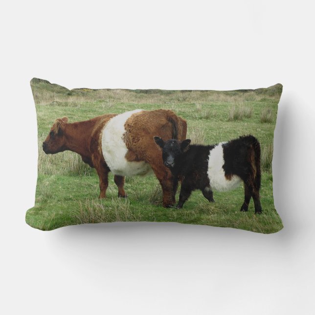 Darmoor Belted Galloway Cow And Calf Lumbar Cushion (Front)