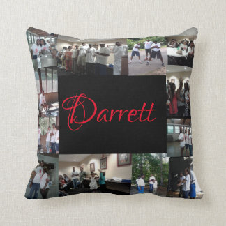 Darrett throw pillow