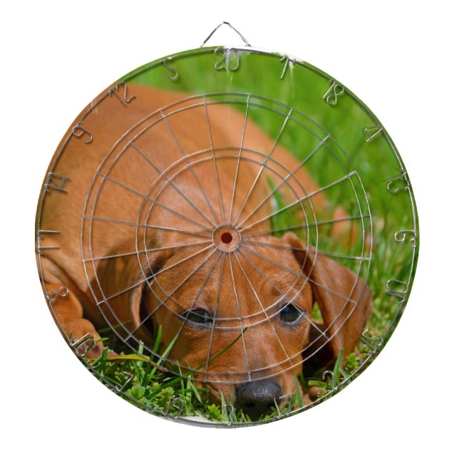 Dart Board - Customised (Front)