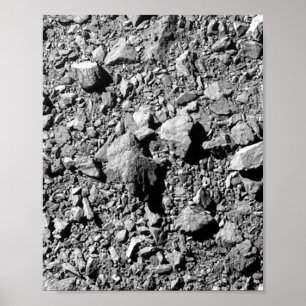 DART Dimorphos Asteroid Moonlet Surface Poster