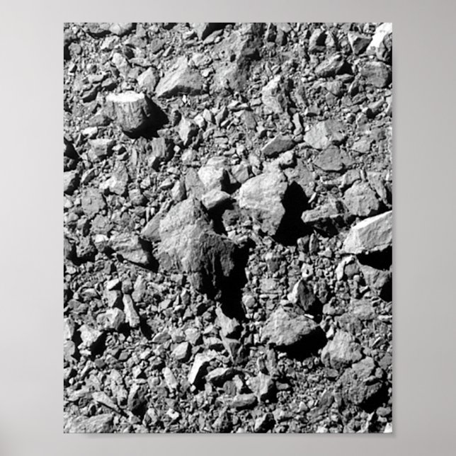 DART Dimorphos Asteroid Moonlet Surface Poster (Front)