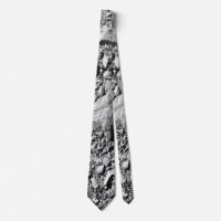 DART Dimorphos Asteroid Moonlet Surface