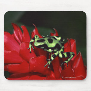 Dart frog 2 mouse mat