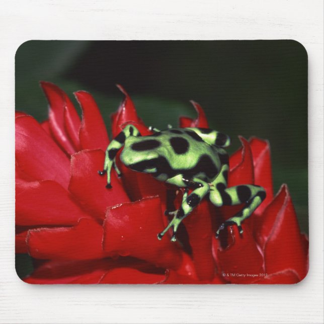 Dart frog 2 mouse mat (Front)