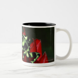 Dart frog 2 Two-Tone coffee mug