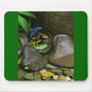 Dart Frog Buddies Mouse Mat