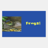 Dart Frog Buddies