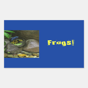Dart Frog Buddies Rectangular Sticker