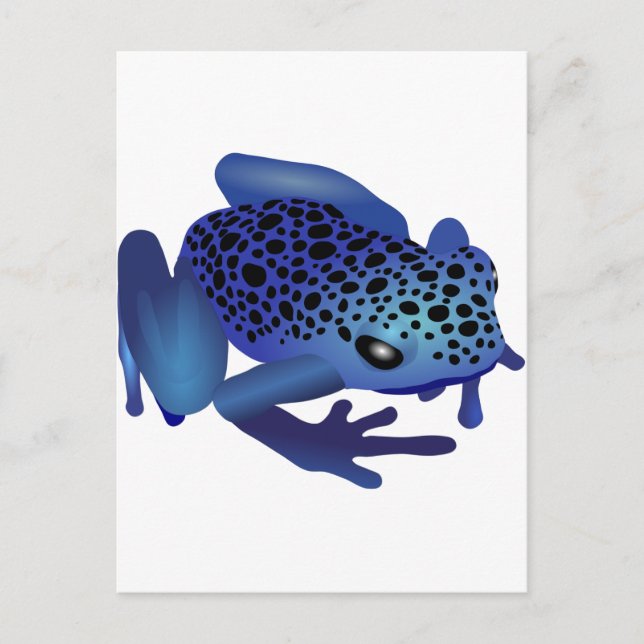 Dart Frog Postcard (Front)
