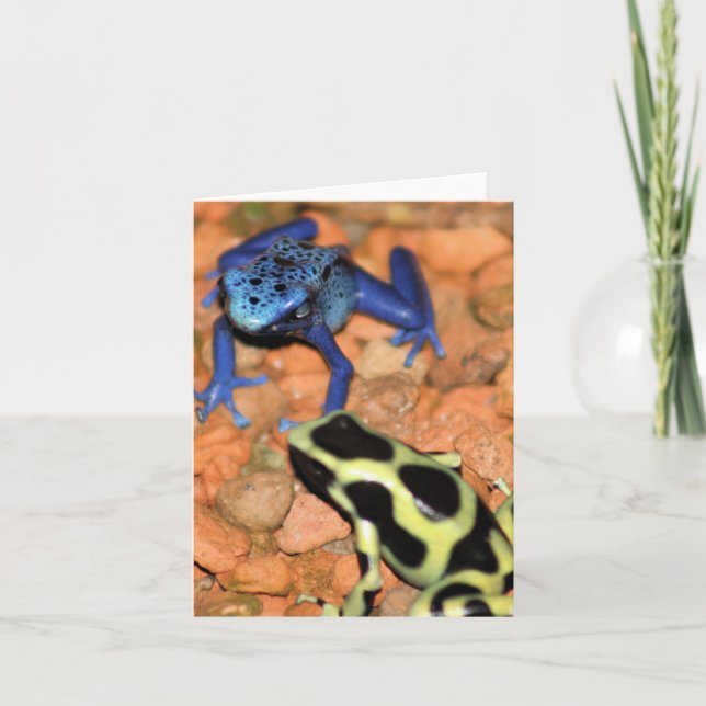 Dart Frogs Note Card (Front)