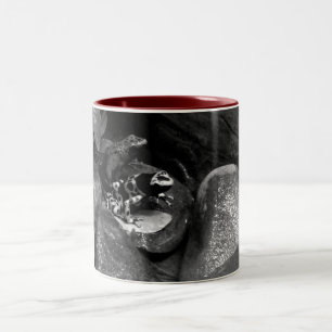 Dart Frogs Sharing Rock B+W Two-Tone Coffee Mug