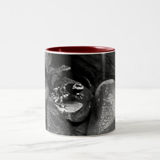 Dart Frogs Sharing Rock B+W Two-Tone Coffee Mug (Center)