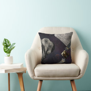 Dart Spacecraft And The Liciacube Prior To Impact Cushion