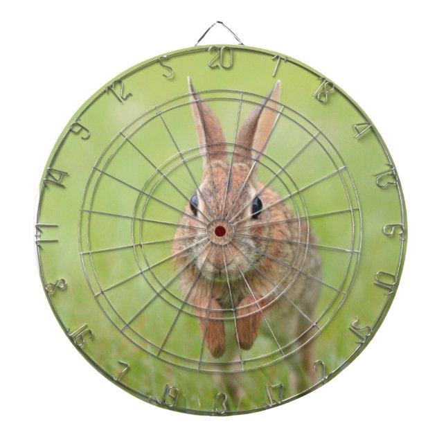 Dartboard with hopping bunny rabbit picture (Front)