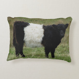 Dartmoor Belted Galloway Calf Decorative Cushion