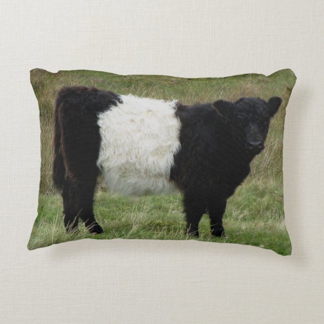 Dartmoor Belted Galloway Calf Decorative Cushion (Back)