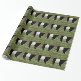Dartmoor Belted Galloway Calf Looking Wrapping Paper