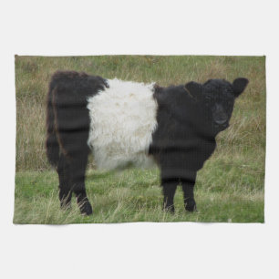 Dartmoor Belted Galloway Calf Tea Towel
