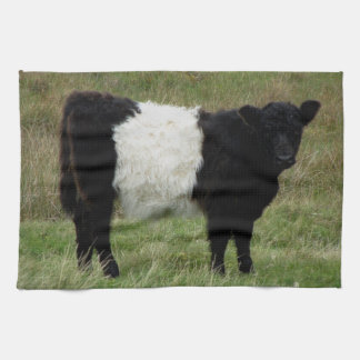 Dartmoor Belted Galloway Calf Tea Towel
