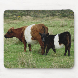 Dartmoor Belted Galloway Cow And Calf Mouse Mat