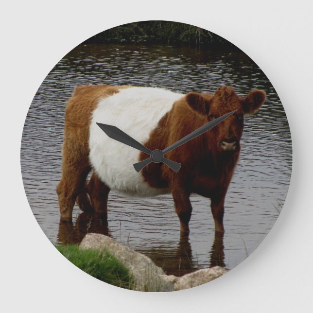 Dartmoor Belted Galloway Cow Standing River Large Clock (Front)