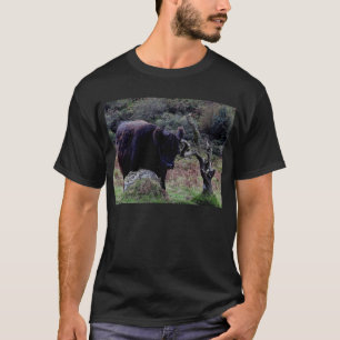 Dartmoor Black Galloway Cow Scratching On Tree T-Shirt