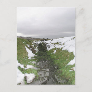 Dartmoor, Devon, UK Postcard