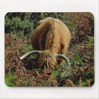 Dartmoor Highland Cow Grazing In Bracken Mouse Mat