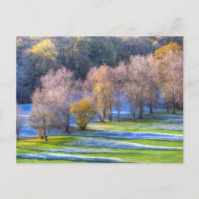 Dartmoor Morning Frost  Postcard (Front)