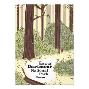 Dartmoor national park, Devon vintage travel Photo Print