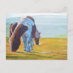 Dartmoor Ponies & Misty Landscape painting Postcard