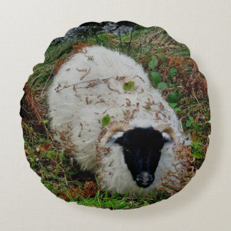 Dartmoor Sheep In Hiding Round Cushion