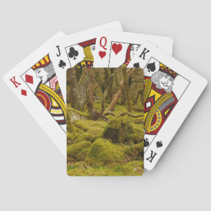 Dartmoor Woodland Playing Cards