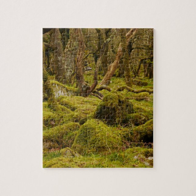 Dartmoor Woodland Puzzle (Vertical)