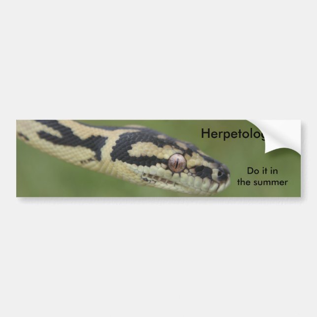 DARWIN2, Herpetologists , Do it in the summer Bumper Sticker (Front)