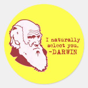 Darwin Classic Round Sticker