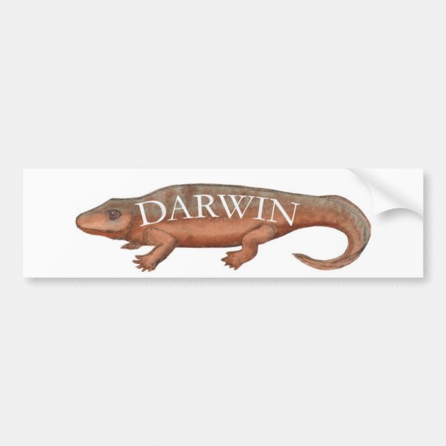 Darwin Evolution Tetrapod Bumper Sticker (Front)