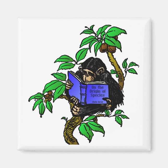Darwin Fan Magnet (Front)