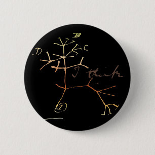 Darwin, I think tree of life 6 Cm Round Badge