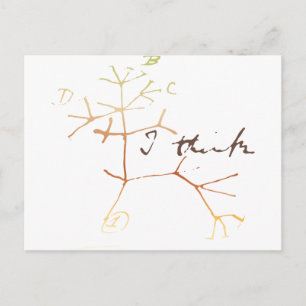 Darwin, I think tree of life Postcard