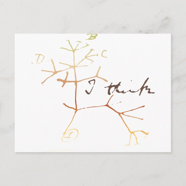 Darwin, I think tree of life Postcard (Front)